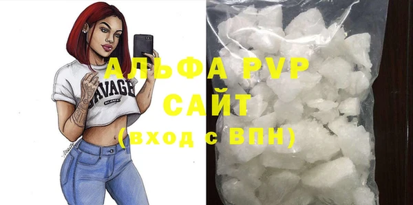 ПСИЛОЦИБИНОВЫЕ ГРИБЫ Новозыбков