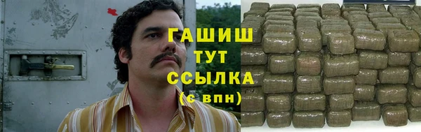 ПСИЛОЦИБИНОВЫЕ ГРИБЫ Новозыбков