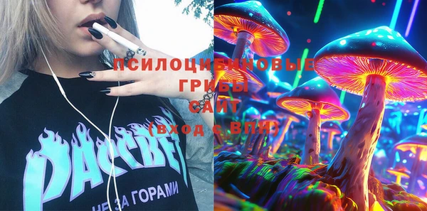 ПСИЛОЦИБИНОВЫЕ ГРИБЫ Новозыбков