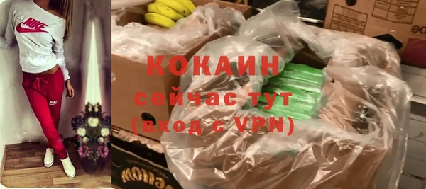 ПСИЛОЦИБИНОВЫЕ ГРИБЫ Новозыбков